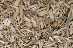 biomass boilers Elderslie